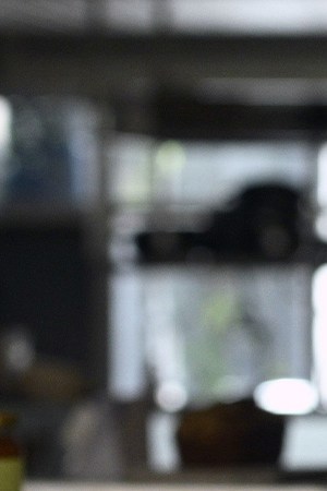 Photo by JUAN MABROMATA/AFP via Getty Images