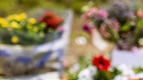 Photo by JEFFREY GROENEWEG/ANP/AFP via Getty Images