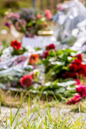 Photo by JEFFREY GROENEWEG/ANP/AFP via Getty Images