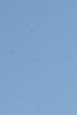 Supporters of U.S. President-elect Joe Biden and his running mate Vice President-elect Kamala Harris pose for selfies near the security fence on the north side of the White House November 08, 2020 in Washington, DC. Photo by Chip Somodevilla/Getty Images