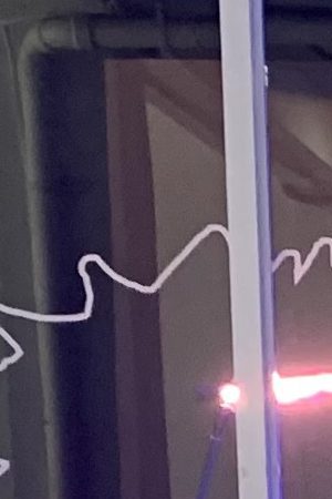 Courtesy of the artist