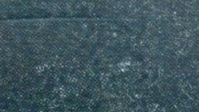 Courtesy of the artist.