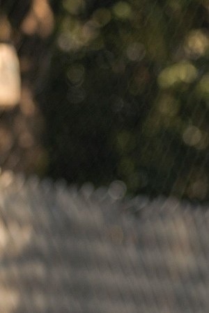 Photo by Juan Rosas/Netflix