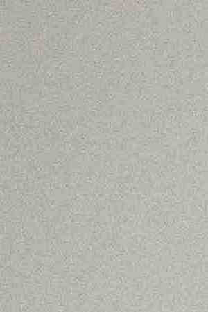 Photo courtesy of the artist