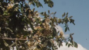 Elizabeth Rivera, Educational Psychologist of the Tola Chica Commune, member of  Kitu Kara Indigenous Community. La Tola Chica, Ecuador. Photo by Johis Alarcón for Remezcla
