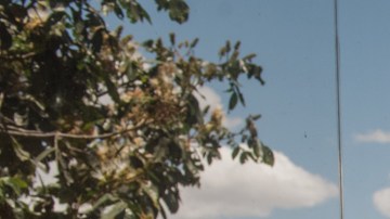 Elizabeth Rivera, Educational Psychologist of the Tola Chica Commune, member of  Kitu Kara Indigenous Community. La Tola Chica, Ecuador. Photo by Johis Alarcón for Remezcla