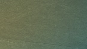 Art by Alan Lopez for Remezcla