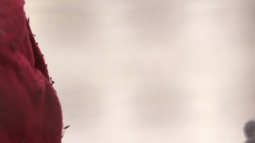 Central American immigrants wait to be taken into custody at the U.S.-Mexico border fence after crossing the Rio Grande from Mexico on February 01, 2019 in El Paso, Texas. Photo by John Moore/Getty Images