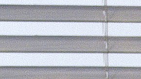 Photos courtesy of Right & Funny Productions.