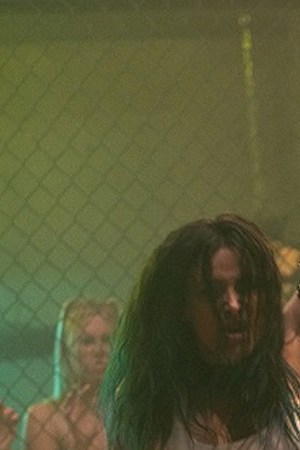 Courtesy of Quiver Distribution.