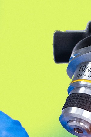 Art by Stephany Torres for Remezcla.