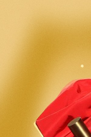 Art by Stephany Torres for Remezcla.