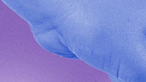 Art by Stephany Torres for Remezcla