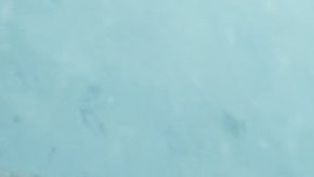 Photo courtesy of The Weekend.