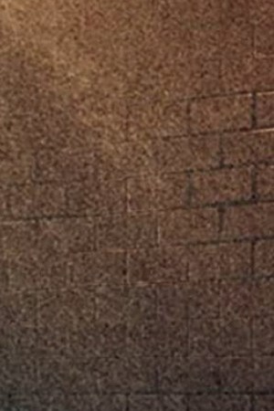 Courtesy of Netflix.