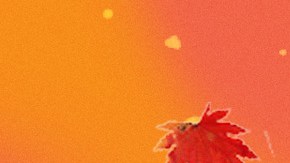 thanksgiving tiktoks collage