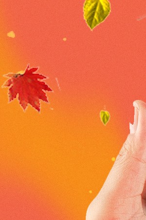 thanksgiving tiktoks collage