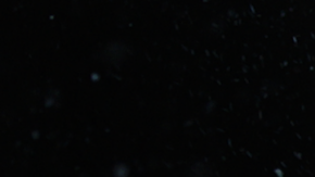 Photo by Bethany Vargas. Courtesy of the artist