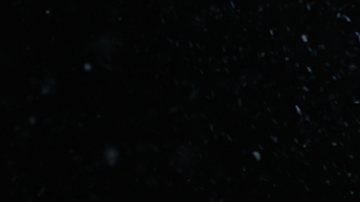 Photo by Bethany Vargas. Courtesy of the artist