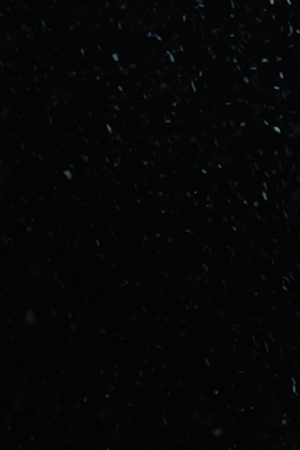 Photo by Bethany Vargas. Courtesy of the artist