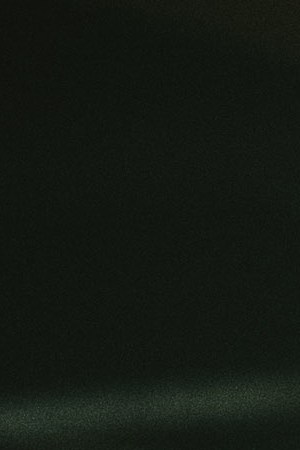 Photo by Nina Rodrigues. Courtesy of NEON16