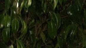 Photo by SGranitz/WireImage