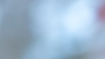 Photo by Tasos Katopodis/Getty Images for Outfest