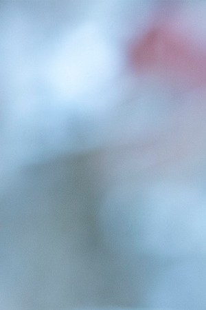 Photo by Tasos Katopodis/Getty Images for Outfest