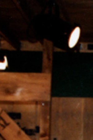 Photo by Arlene Richie/Getty Images)