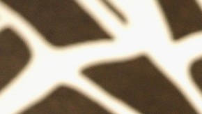 Photo by Dave Hogan/Getty Images