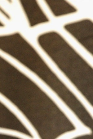 Photo by Dave Hogan/Getty Images