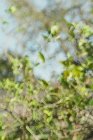 Open Estudio Still by Itzel Alejandra Martinez for Remezcla