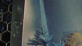 Photo courtesy instagram/ivanna_lohacemosnosotros