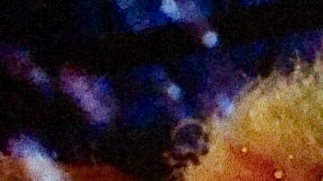 Olga Breeskin. Photo by Antonio Caballero, ca. 1978. Courtesy of Ficheraz