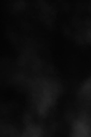 Photo courtesy of the band.