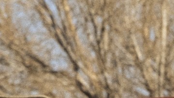 Photo courtesy of Warner Bros. Media