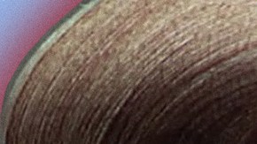 Art by Stephany Torres for Remezcla