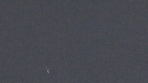 Cardi B attends "The Road to F9" Global Fan Extravaganza at Maurice A. Ferre Park on January 31, 2020 in Miami, Florida. Photo by Dia Dipasupil/Getty Images