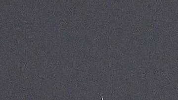 Cardi B attends "The Road to F9" Global Fan Extravaganza at Maurice A. Ferre Park on January 31, 2020 in Miami, Florida. Photo by Dia Dipasupil/Getty Images