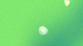 Art by Stephany Torres for Remezcla