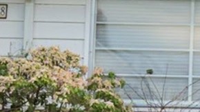 Photo courtesy of Los Walters