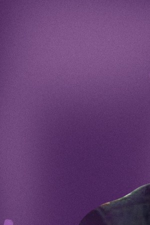 Art by Stephany Torres for Remezcla