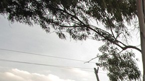A paramedic of the Mexican Red Cross closes the doors of an ambulance to transport a person with possible COVID-19 during the answer to an emergency call on June 19, 2020 in Mexico City, Mexico. Photo by Hector Vivas/Getty Images