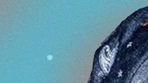 Art by Stephany Torres for Remezcla