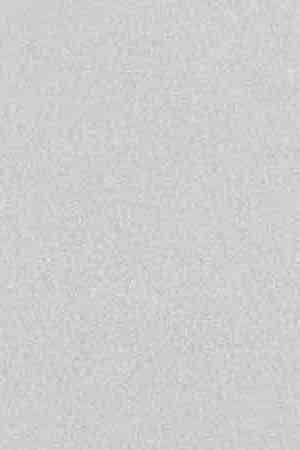 Courtesy of the artist