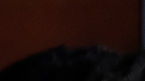 U.S. Reps. Ayanna Pressley (D-MA), Ilhan Omar (D-MN) and Alexandria Ocasio-Cortez (D-NY) listen as Rep. Rashida Tlaib (D-MI) pauses while speaking at a news conference at the U.S. Capitol on July 15, 2019 in Washington, D.C.  Photo by Alex Wroblewski/Getty Images