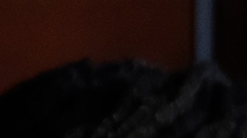 U.S. Reps. Ayanna Pressley (D-MA), Ilhan Omar (D-MN) and Alexandria Ocasio-Cortez (D-NY) listen as Rep. Rashida Tlaib (D-MI) pauses while speaking at a news conference at the U.S. Capitol on July 15, 2019 in Washington, D.C.  Photo by Alex Wroblewski/Getty Images