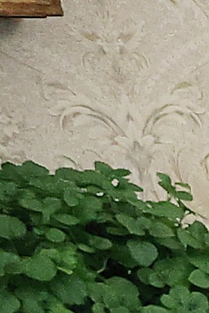 WASHINGTON, DC - MARCH 12: U.S. President Donald Trump and Prime Minister of Ireland Leo Varadkar talk to journalists before their meeting in the Oval Office at the White House March 12, 2020 in Washington, DC. Taoiseach Varadkar is in Washington for the annual celebration of St. Patrick's Day and to participate in the traditional Shamrock Bowl presentation. (Photo by Chip Somodevilla/Getty Images)