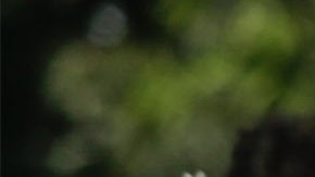 A person cries during a burial of a Covid-19 victim at the Sao Francisco Xavier cemetery on January 7, 2021 in Rio de Janeiro, Brazil. Photo by Andre Coelho/Getty Images