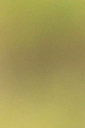 HEPHZIBAH, GEORGIA - JANUARY 04: Georgia Democratic Senate candidates Rev. Raphael Warnock and Jon Ossoff speak before an Augusta canvass launch block party at Robert Howard Community Center on January 04, 2021 in Hephzibah, Georgia. On the final day before the January 5th runoff election, Warnock and Ossoff, who are challenging Republican incumbent senators Kelly Loeffler and David Perdue, respectively, made their last pitches to voters at a block party and canvass launch. (Photo by Michael M. Santiago/Getty Images)